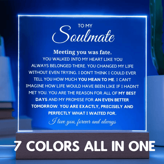 Soulmate "You are Exactly, Precisely what I waited for" Acrylic Plaque