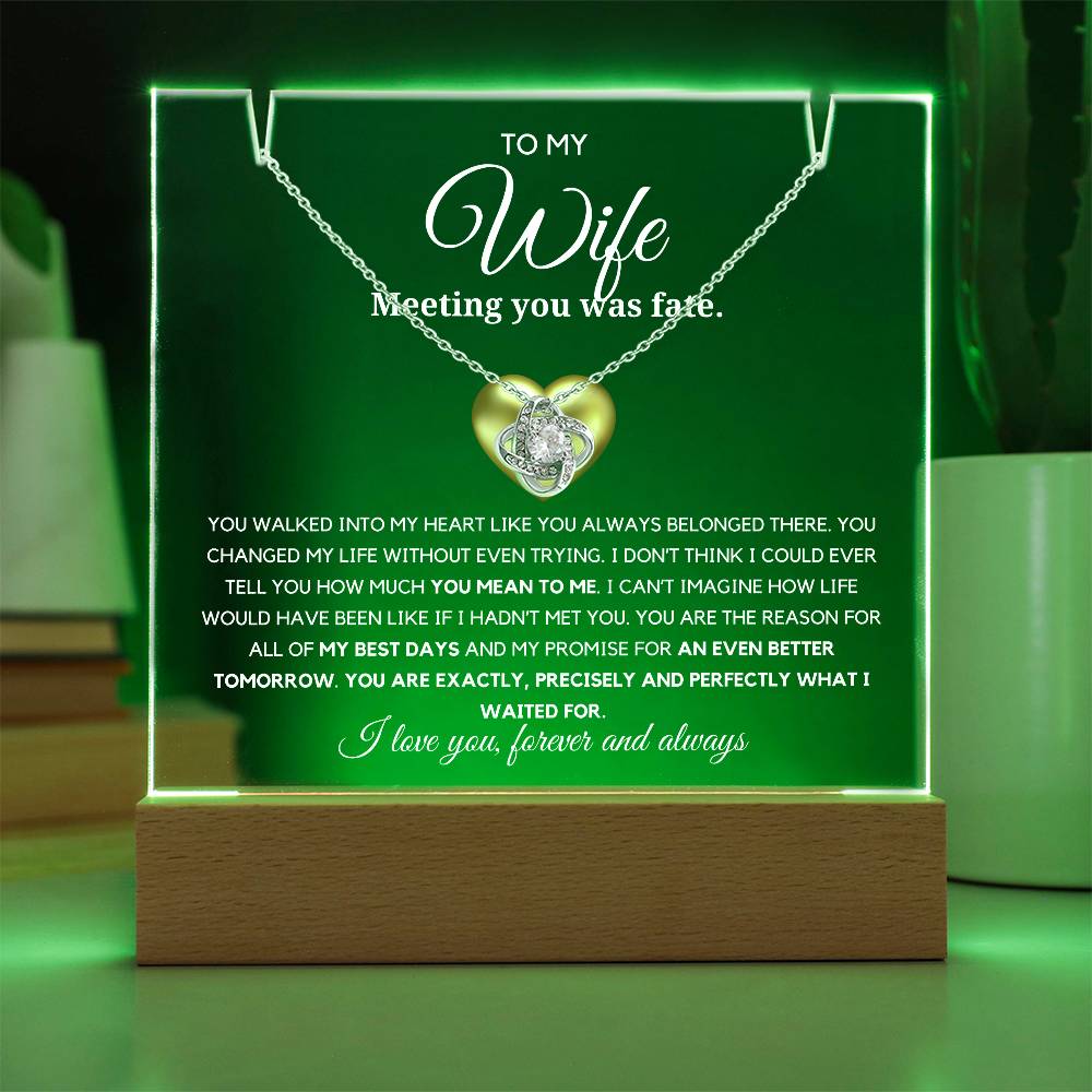 To my Wife- You are precisely what i waited for Acrylic Plaque with Loveknot Necklace