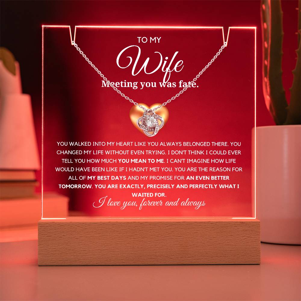 To my Wife- You are precisely what i waited for Acrylic Plaque with Loveknot Necklace