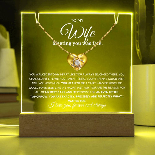 To my Wife- You are precisely what i waited for Acrylic Plaque with Loveknot Necklace