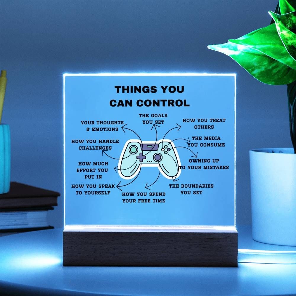 Things You Can Control Mental Health Plaque, Therapy Office decor, Calm Corner, School Counselor Office Psychologist, Self Care CBT DBT ADHD